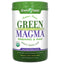 GREEN FOODS Magma 10.6 oz